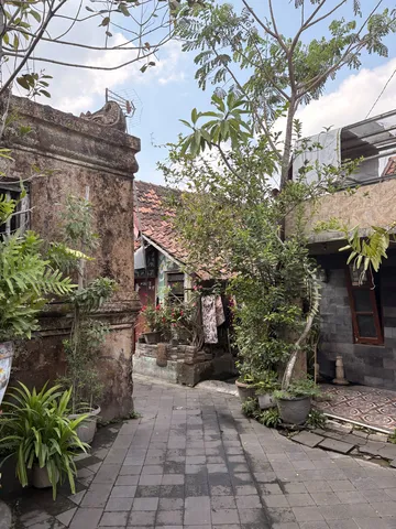 石壁と緑が紡ぐ路地の風景