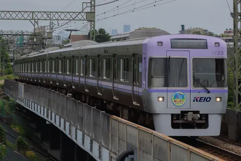 あじさい電車、空中散歩中？