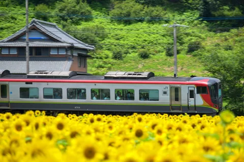 ひまわり畑と列車、夏の風物詩