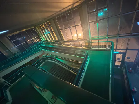 緑に染まる階段