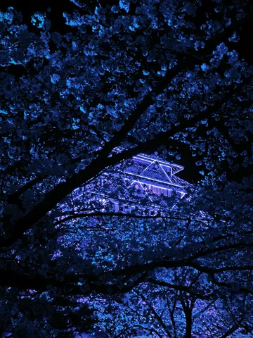 青に染まる夜の城郭