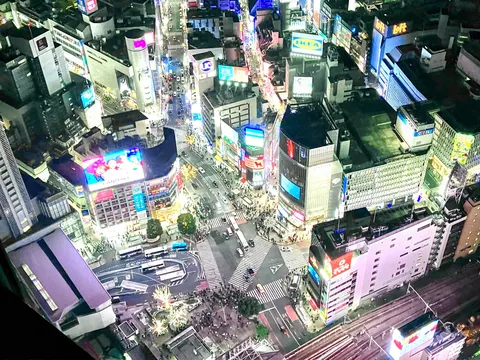 光きらめく大都市の夜景