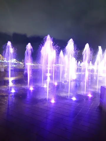 紫の霧の噴水パレード