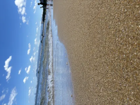 砂浜の粒まで見えちゃった！