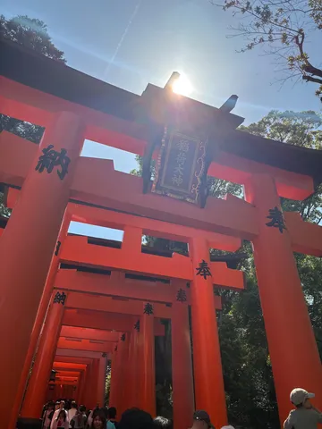 朱色の鳥居、光の歓迎