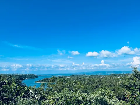 緑に包まれた海と空のコントラスト