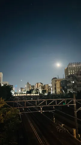 夜の線路と月の影