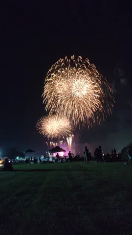 夜空を彩る大輪の花火