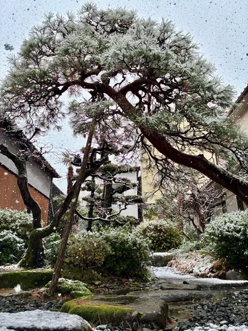 静寂に包まれた雪の庭