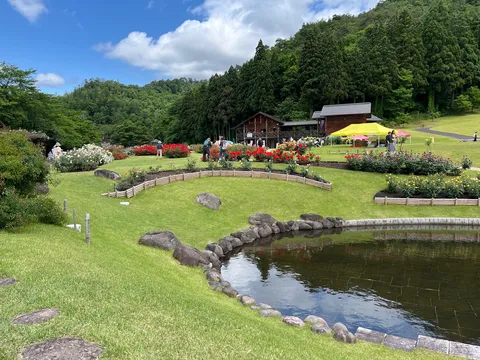薔薇と水辺の午後