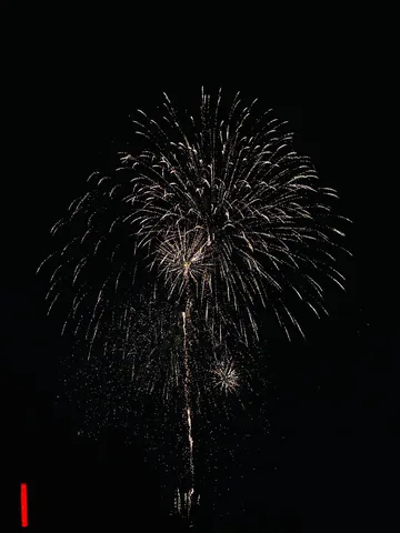 夜空を彩る線香花火の群れ