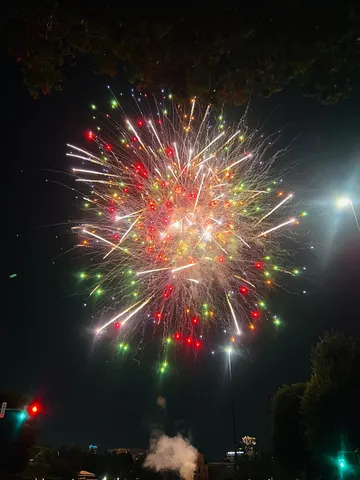 夜空に咲いた一瞬の華