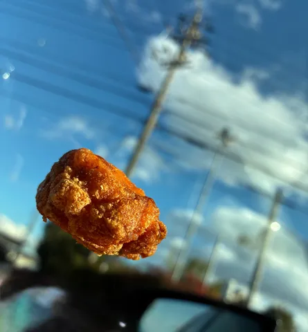 空飛ぶからあげクン
