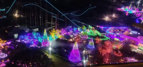 夜空を彩る光の楽園