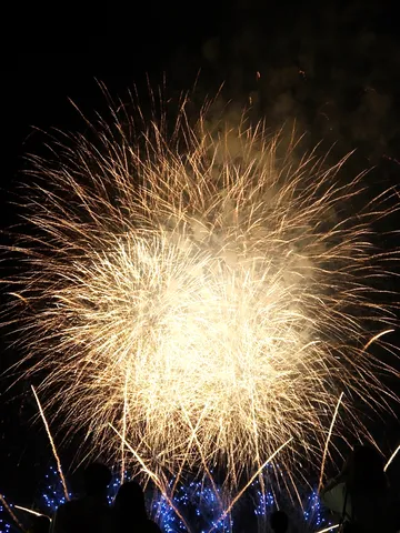 黄金の花火が夜を照らす