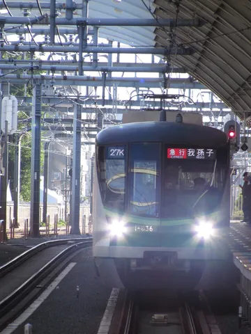駅に滑り込む春の光