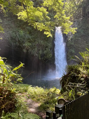 木漏れ日輝く森の滝