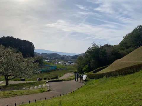 新緑の丘陵、心地よい散策