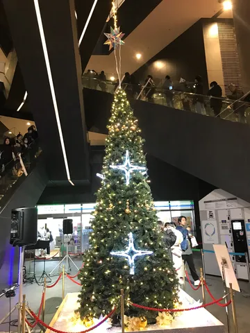 キラキラ☆クリスマスの輝き