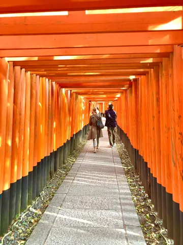朱色の道、光の舞う回廊