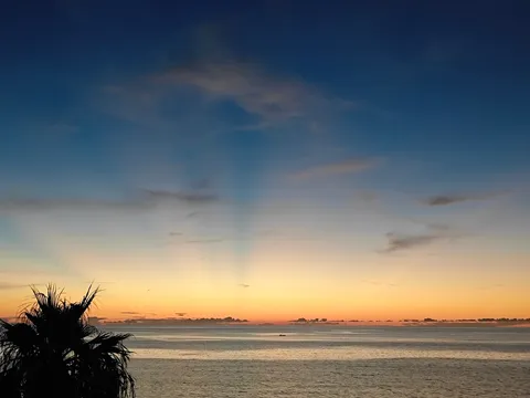 水平線に沈む夕陽、ヤシの木と小舟