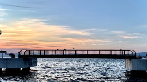 夕暮れの橋と鳥たち