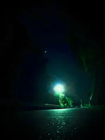 闇夜に光る孤高の道