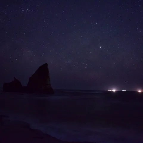星降る夜の海岸線