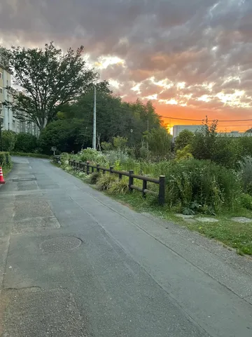 夕焼けに染まる道、ノスタルジーを添えて