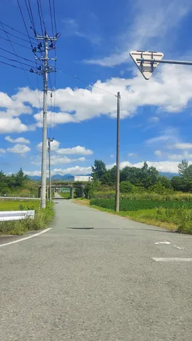 夏空の下、農道の風景