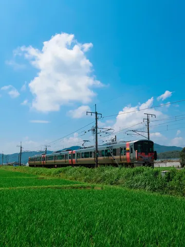 夏空と田園を駆け抜ける電車