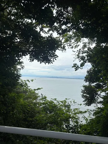 樹の額縁から海を覗く