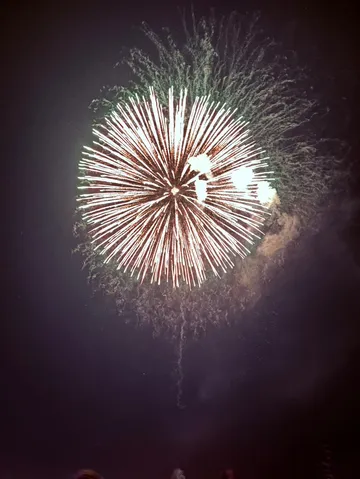 夜空に咲く光の花
