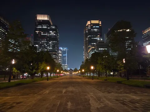 都心の夜風と灯りの並木
