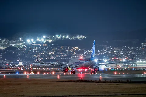 夜空を舞う光の絨毯