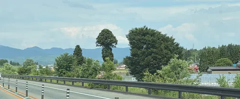 山並みと巨木、田舎道の風景