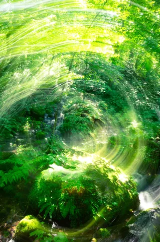 光と緑が織りなす幻想世界