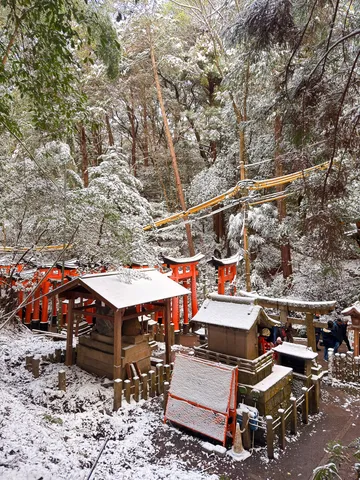 雪化粧の千本鳥居、神秘の競演