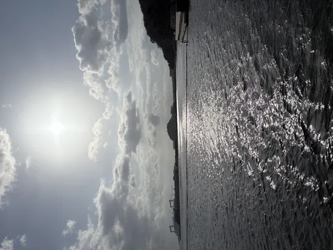 きらめく水面と港の風景