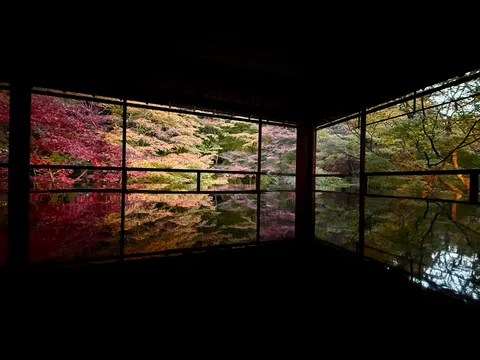 静寂に映る紅葉の借景