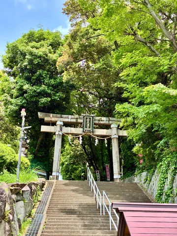 鳥居の向こうは、緑の世界