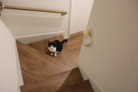 見てるこっちを見てる