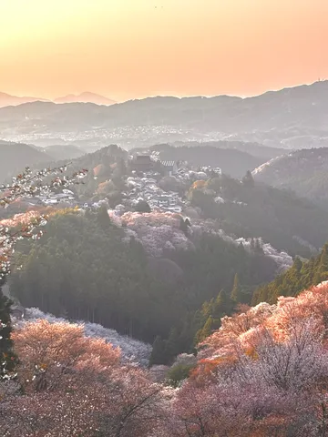 朝焼けと桜の山里