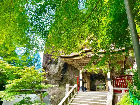 緑陰の石段と神殿