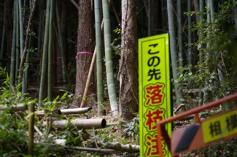 落石注意！森の奥への誘い