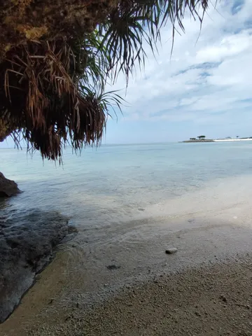 潮風と光のビーチ風景