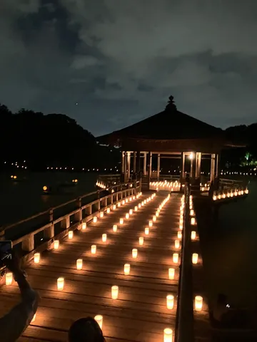 夜を彩る灯りの桟橋