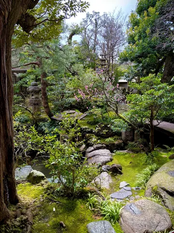苔と石燈籠、雅な庭の彩り