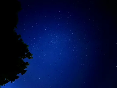 森の端から覗く星空