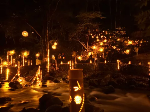 夜の灯りが揺れる庭園